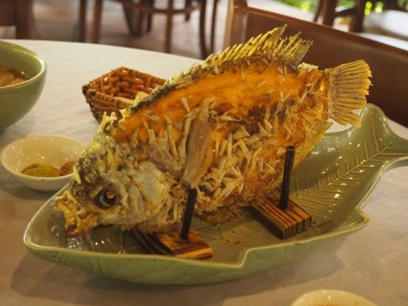 Tr00100420230310163923342