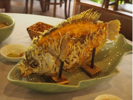 【ホーチミン発】ミトー メコン川クルーズ終日観光ツアー　＜日本語ガイド・昼食付き＞