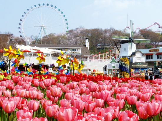 ソウル ⇔ エバーランド往復バス事前予約　ソウル市内発着！乗り換え不要で楽々アクセス