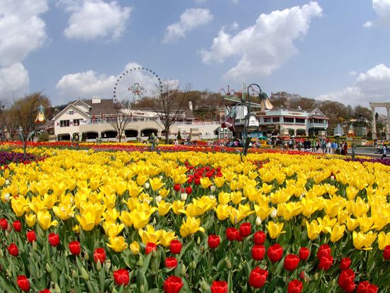 main-attraction-image