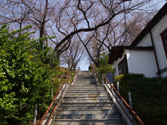 北朝鮮が見えるスターバックス&仁川ドラマロケ地巡りツアー「トッケビ」「テプン商事」「ザ・グローリー」など＜昼食付／ドリンク付／日本語ガイド＞