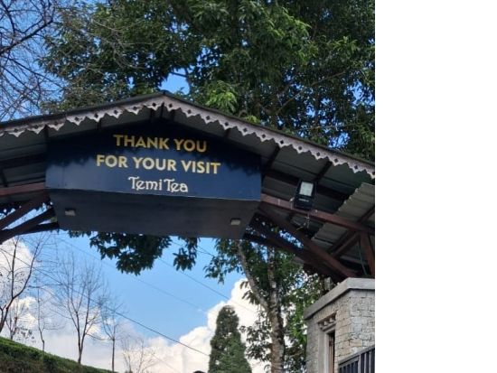 【貸切チャーター】バグドグラ発ガントク＆ダージリン観光ツアー！日本語サポート可＜専用車／英語ドライバー／高速代＆駐車場代込／バグドグラ空港または市内中心部ドロッ