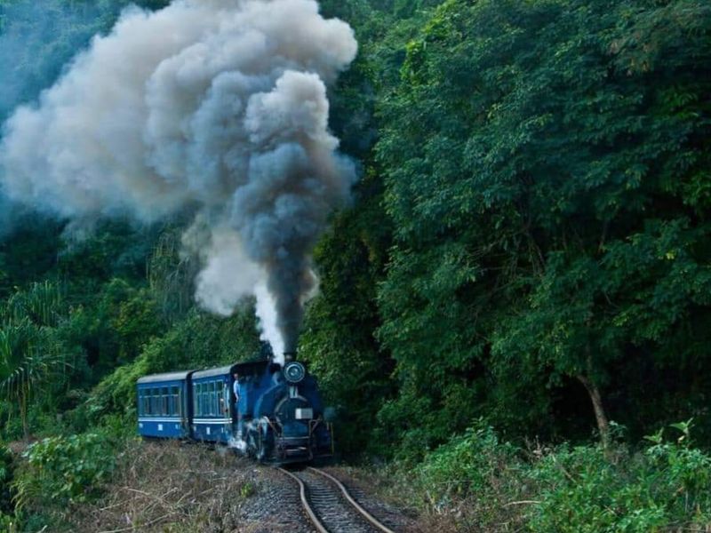 Darjeeling Toy Train1