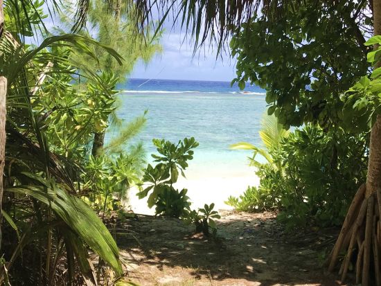 グアム ビーチピクニックツアー　南国の美しい海辺でゆったり癒しの時間！島内観光付きプランもあり＜貸切／半日or1日／日本語ガイド＞