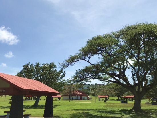 グアム ロケ地巡りツアー　タモン中心街やビーチなど人気の撮影スポットを訪問！観光スポット付きプランもあり＜貸切／半日or1日／日本語ガイド＞