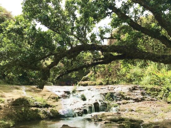 グアム ハイキング＋南部観光1日ツアー　イナラハンやタロフォフォの滝公園など自然と絶景を満喫！＜貸切／日本語ガイド＞