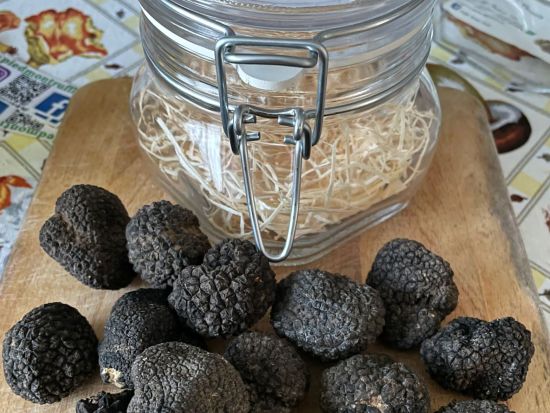 イタリア食文化体験ツアー ＜ワイン試飲＆昼食付き／英語ガイド＞