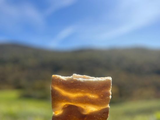 イタリア食文化体験ツアー ＜ワイン試飲＆昼食付き／英語ガイド＞