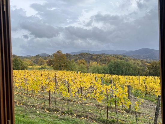 WhatsApp Image 2026-01-16 at 09.34.33 (1)