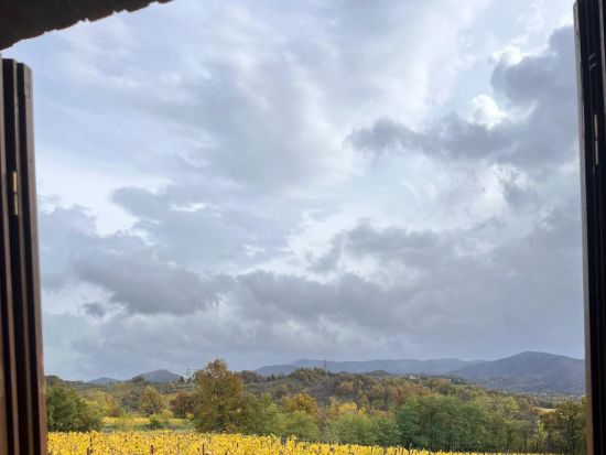 イタリア食文化体験ツアー ＜ワイン試飲＆昼食付き／英語ガイド＞