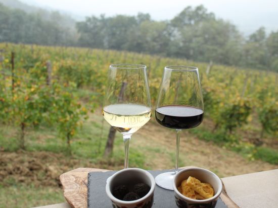 イタリア食文化体験ツアー ＜ワイン試飲＆昼食付き／英語ガイド＞