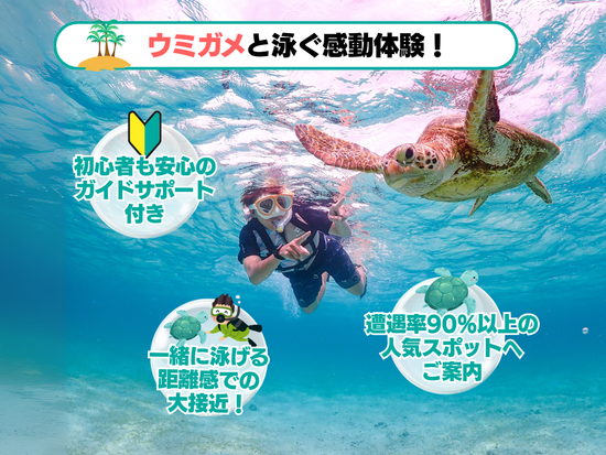 幻の島上陸＆ウミガメ or マンタシュノーケリング  半日で人気スポットを巡れる◎GoProレンタルあり＜約3時間／送迎付／石垣島＞の写真4