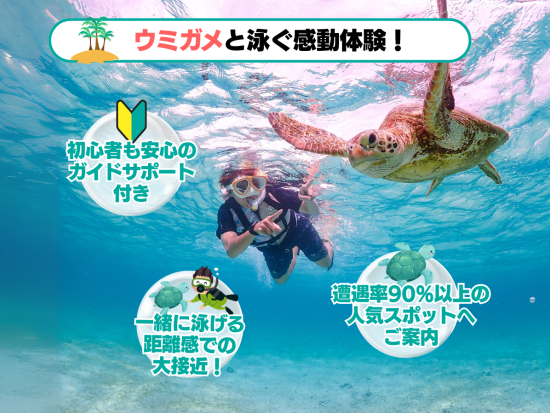 幻の島上陸＆ウミガメ or マンタシュノーケリング  半日で人気スポットを巡れる◎GoProレンタルあり＜約3時間／送迎付／石垣島＞