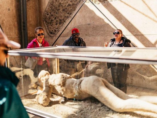 世界遺産ポンペイ日帰り観光ツアー　日本語オーディオガイド付き＜英語／ナポリ発＞