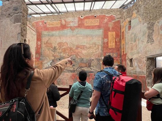 世界遺産ポンペイ日帰り観光ツアー　日本語オーディオガイド付き＜英語／ナポリ発＞