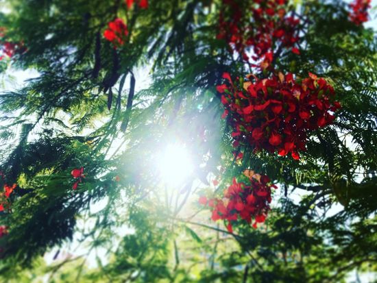 FE5CF35E-C6A5-44D5-89B9-5C068EE8B2FD