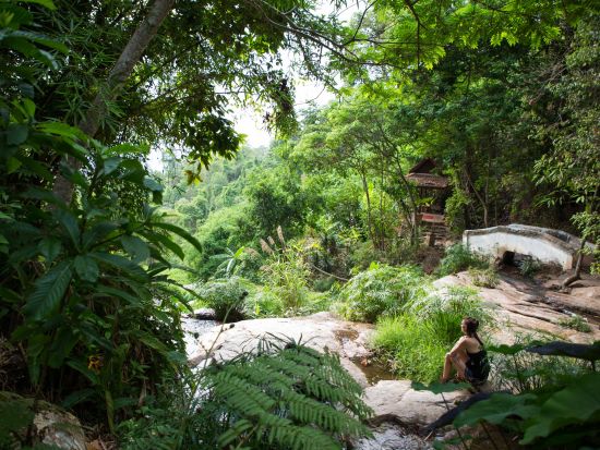 【チェンマイ発】ドイステープ寺院の日の出鑑賞ツアー　ワット・パーラート＆ワット・ウモーン入場＜ホテル送迎付／英語ガイド＞