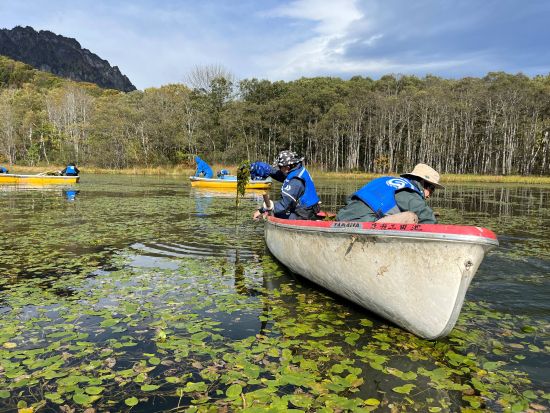 2026年6月7日(日) 限定20名 新緑の戸隠鏡池で貴重な体験！水草除去で自然と絶景を守る特別体験 ＜企画・協賛：ながの「四季の彩り」キャンペーン実行委員会＞