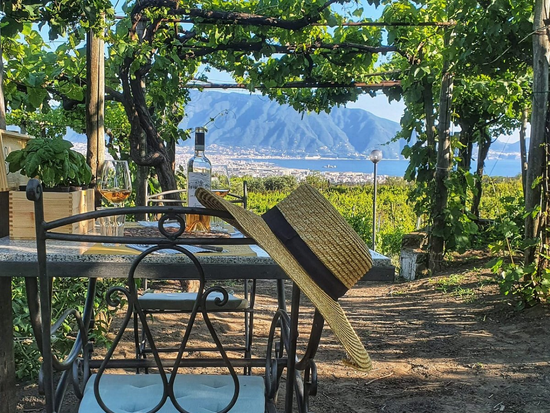 lunch-into-vineyardOK (1)