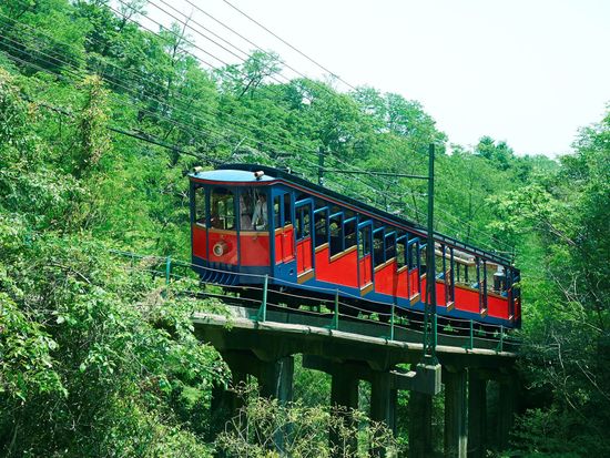 W5P1R_56672403-da1c-4b0f-bd77-0d