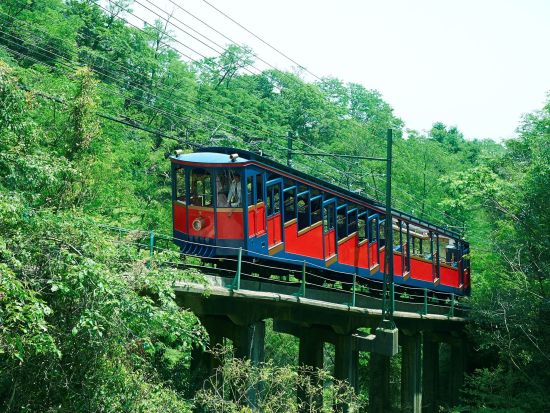 阪神1dayパス 六甲山セット 阪神エリア観光に最適！ 