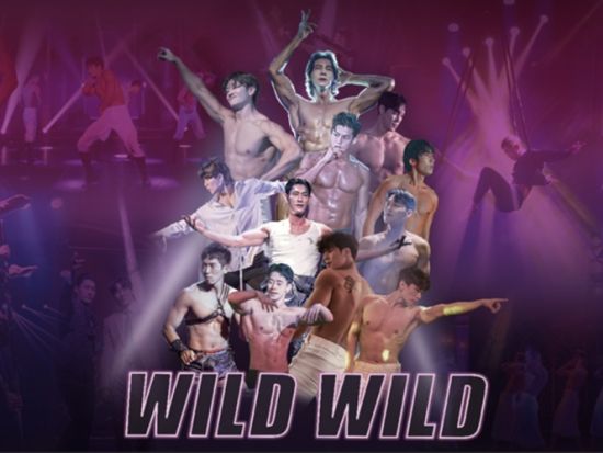 女性限定！「Wild Wild」公演チケット　セクシーな男性たちの魅惑のショー ＜19歳以上女性限定／乙支路3街駅徒歩2分＞