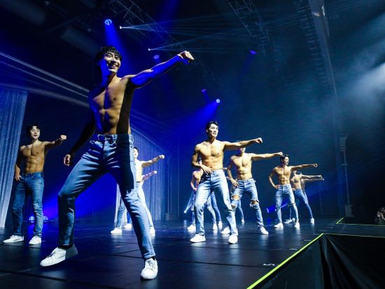 女性限定！「Wild Wild」公演チケット　セクシーな男性たちの魅惑のショー ＜19歳以上女性限定／乙支路3街駅徒歩2分＞