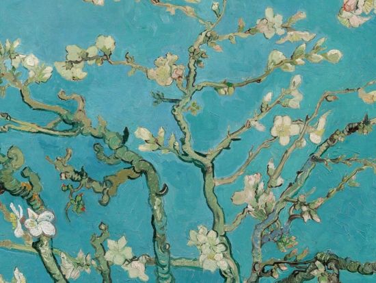 ゴッホ美術館: 入場チケット事前予約