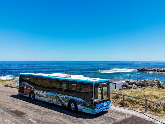 HendersonPhotographics_074