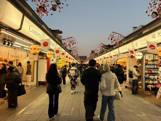 【英語ガイド】浅草ツアー 江戸時代の風情が残る東京の下町「浅草」をガイドと巡る＜会席料理・芸者による日本舞踊＞