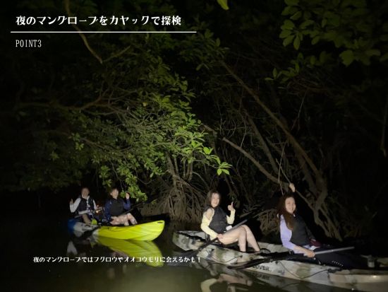 サンセット&ナイトカヤックツアー 宮良湾の夕陽、宮良川のマングローブ、満天の星空を楽しめるナイトツアー ＜約2時間／石垣島発＞