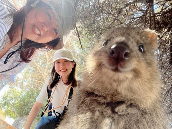 ロットネスト島「世界一幸せな動物」クオッカに出逢えるウォーキング＆島内観光バスツアー＜半日or1日／日本語ガイド／パース市内送迎付き／ヒラリーズ発着＞