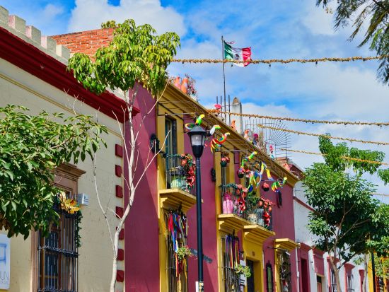 AEROMEXICOで行く！オアハカ日帰り自由行動ツアー　航空券付き＜混載／スペイン語ドライバー現地送迎／メキシコシティ発＞