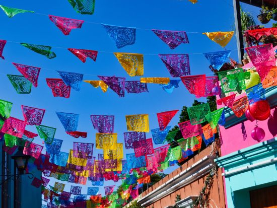 AEROMEXICOで行く！オアハカ日帰り自由行動ツアー　航空券付き＜混載／スペイン語ドライバー現地送迎／メキシコシティ発＞