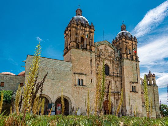 AEROMEXICOで行く！オアハカ日帰り自由行動ツアー　航空券付き＜混載／スペイン語ドライバー現地送迎／メキシコシティ発＞