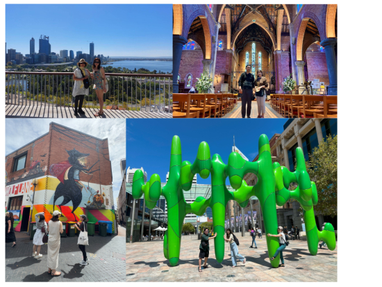 約2時間半のウォーキングツアー★パース市内中心部とキングスパークの見どころをたっぷりご紹介！＜午前／日本語ガイド／パース発＞