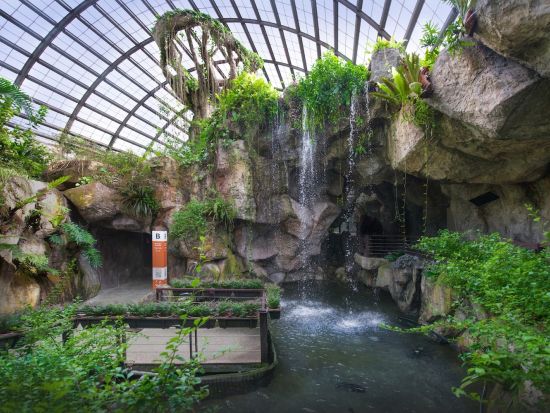 蝶の楽園「Entopia by Penang」入場チケット　15,000匹の蝶が幻想的なガーデン＆体験型ミュージアム満喫＜ペナン＞