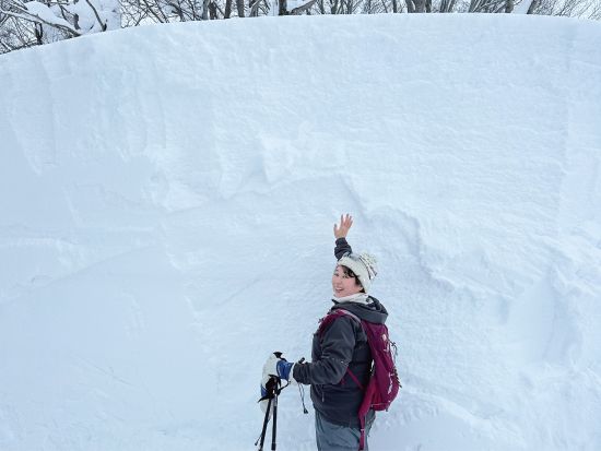 【ベルトラ限定4月のみ】八甲田雪の回廊で雪壁の上をスノーシュー体験＆弘前城ネイチャーツアー　 JR青森駅・青森市内ホテルから無料送迎付き＜1日＞