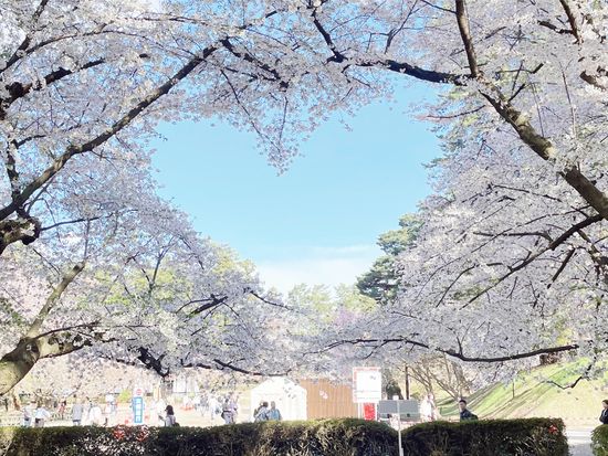 追加：雪壁5-100