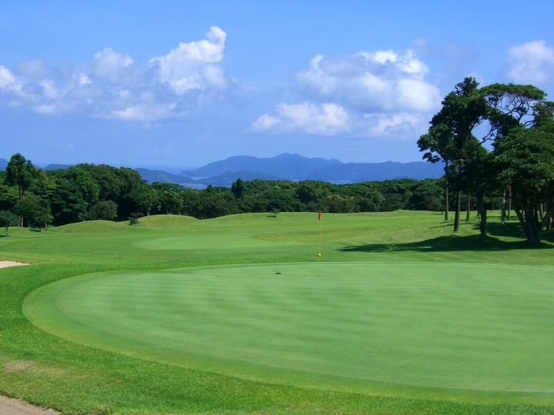 675d72cb69dcb7aa9391806f26eb20a7-1080x810