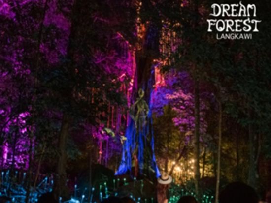 ドリームフォレスト「Dream Forest Langkawi9」入場券事前予約サービス　光×音×物語の魔法体験！1.2kmトレイル満喫＜ランカウイ＞