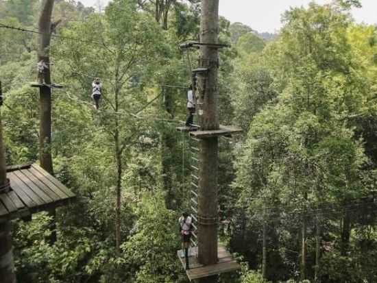 スカイレックス・アドベンチャー・ランカウイ「SKYTREX Adventure Langkawi」空中アスレチック体験！空を滑空する森のアドベンチャー　
