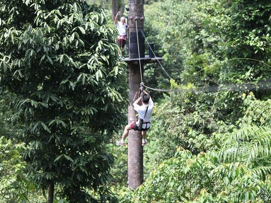 main-attraction-image