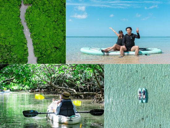 【少人数制】2歳〜参加可！海＆マングローブドローン・一眼レフ撮影付！上陸できるマングローブと青く澄んだ海SUP/カヌー！カメラマン案内＜約2時間／石垣島＞