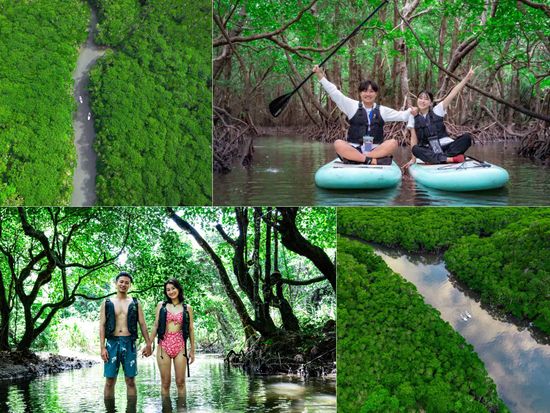 4C43A795-6430-4C8B-91B6-2609F2F42ABCのコヒ_ー