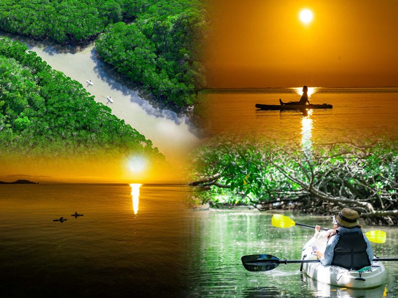 photo-outputのコヒ_ー