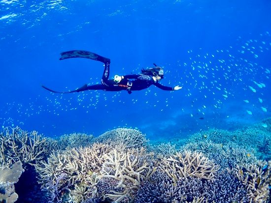 八重干瀬】スキンダイビングツアー ドローン撮影＋水中カメラレンタル