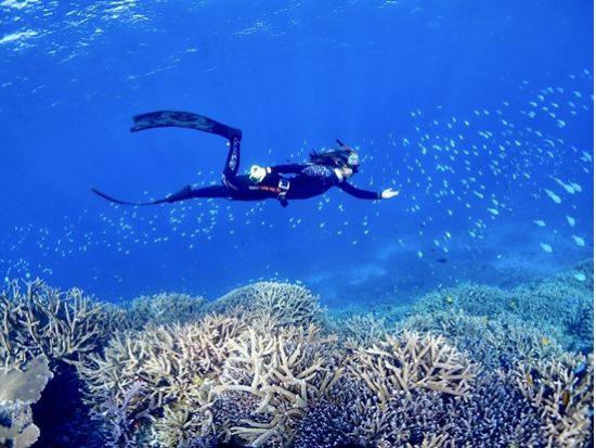 【八重干瀬】スキンダイビングツアー　ドローン撮影＋水中カメラレンタル付　こだわりのダイビング装備にロングフィンのオプションあり！＜通年催行／午前・午後／宮古島＞
