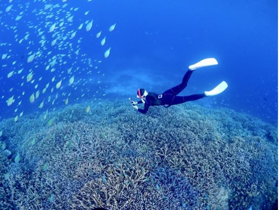 【八重干瀬】スキンダイビングツアー　ドローン撮影＋水中カメラレンタル付　こだわりのダイビング装備にロングフィンのオプションあり！＜通年催行／午前・午後／宮古島＞