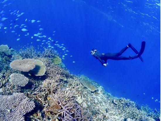 【八重干瀬】スキンダイビングツアー　ドローン撮影＋水中カメラレンタル付　こだわりのダイビング装備にロングフィンのオプションあり！＜通年催行／午前・午後／宮古島＞